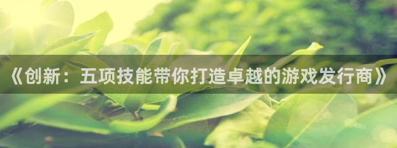 亿万28子怎么样：《创新：五项技能带你打造卓越的游戏发行商》