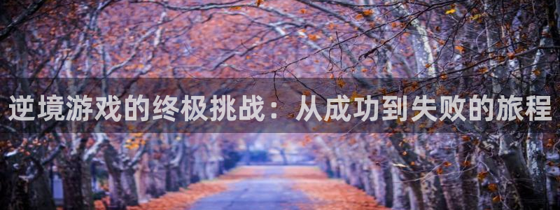 亿万28官网游戏：逆境游戏的终极挑战：从成功到失败的旅程