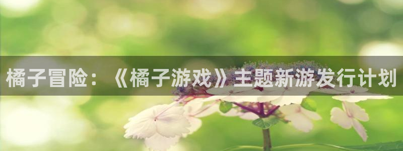 亿万28子文化：橘子冒险：《橘子游戏》主题新游发行计划