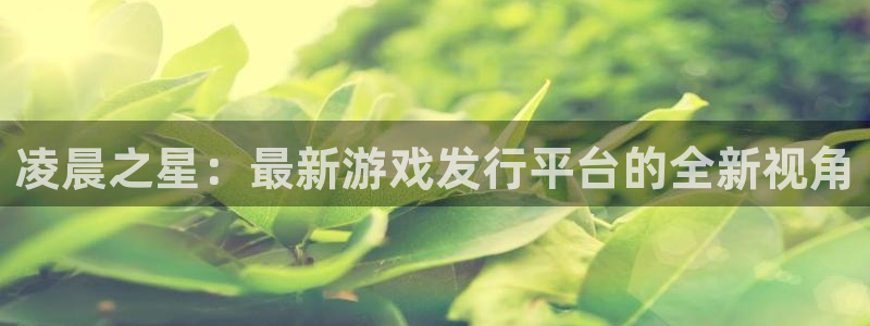 亿万28干红葡萄酒750毫升多少钱：凌晨之星：最新游戏发行平台的全新视角