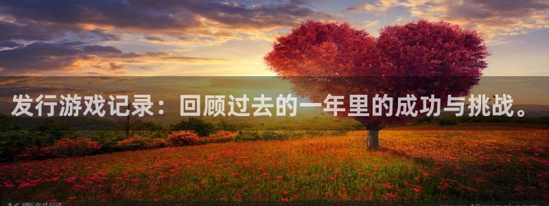 亿万28官网是赌博么：发行游戏记录：回顾过去的一年里的成功与挑战。