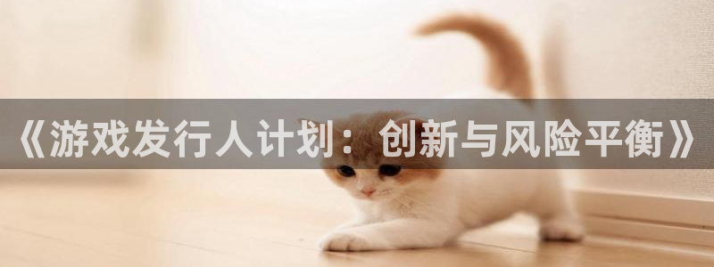 亿万28集团品牌策划机构：《游戏发行人计划：创新与风险平衡》