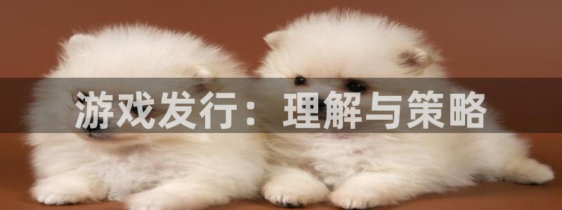 亿万28官网注册方法是什么：游戏发行：理解与策略