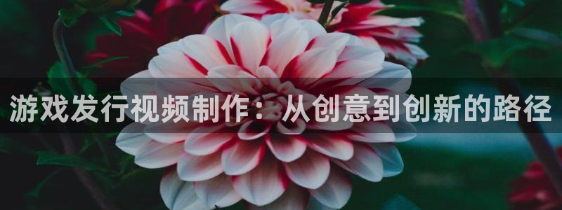 亿万28官网登录注册账号失败怎么回事：游戏发行视频制作：从创意到创新的路径
