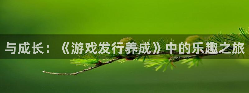 陕西亿万28子文化创意有限公司1：与成长：《游戏发行养成》中的乐趣之旅