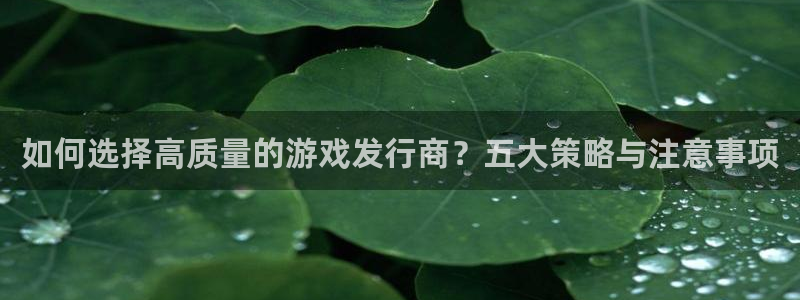 亿万28技术有限公司官网：如何选择高质量的游戏发行商？五大策略与注意事项