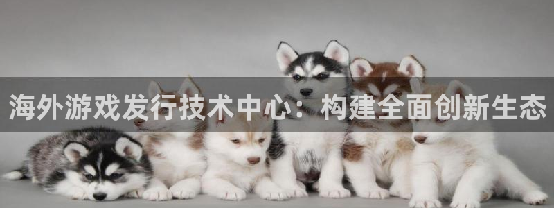 亿万28注册开户：海外游戏发行技术中心：构建全面创新生态