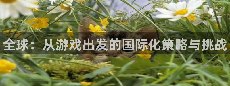 亿万28官网平台招商qq