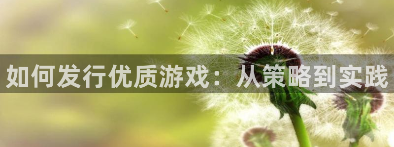 亿万28电子商务有限公司电话：如何发行优质游戏：从策略到实践