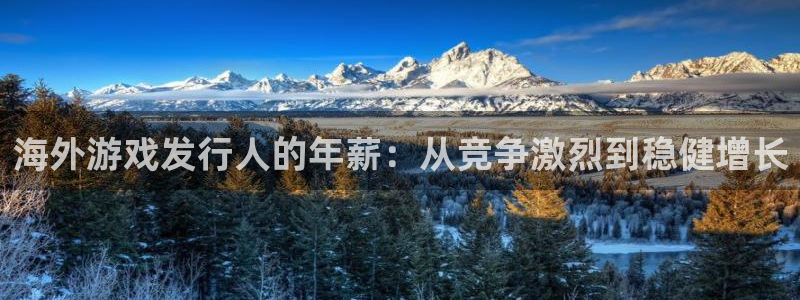 亿万28官网注册方法有哪些软件：海外游戏发行人的年薪：从竞争激烈到稳健增长